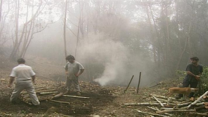 Senderos isleños - Vivir del monte I