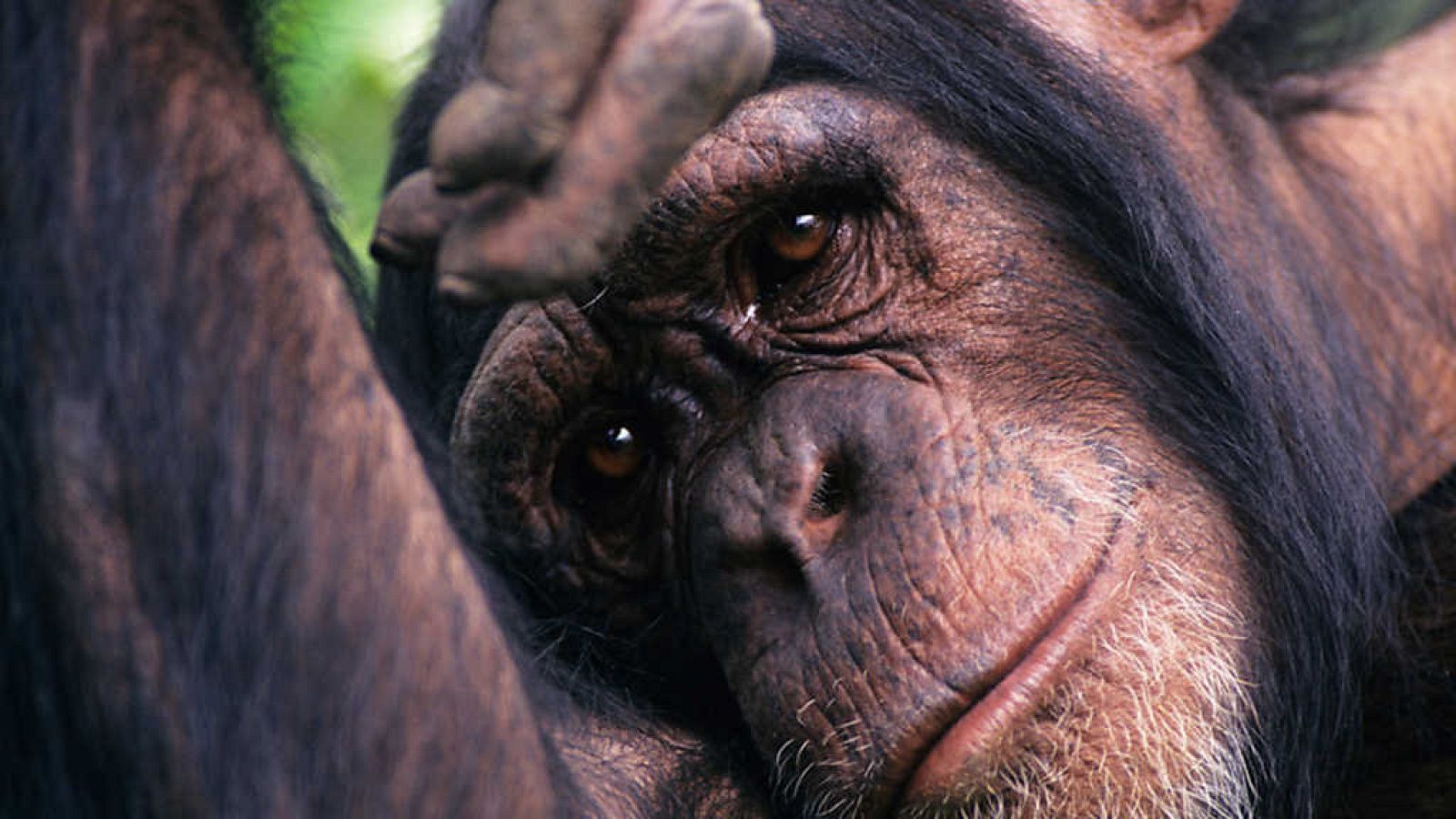 Otros documentales - Trotamundos: Malawi y Zambia - ver ahora