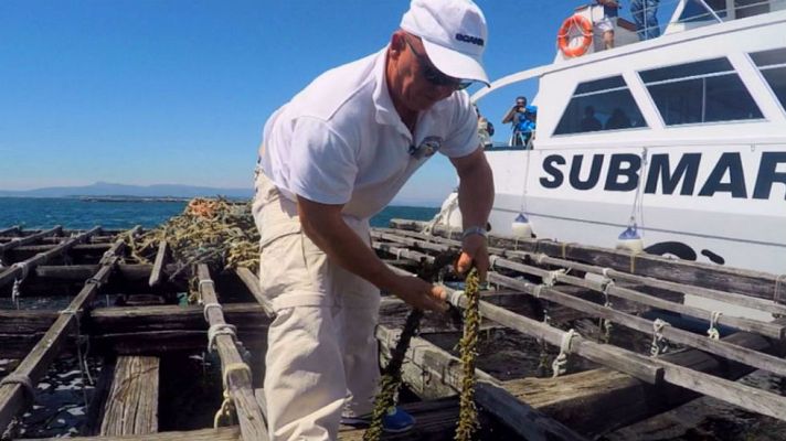 Aquí la Tierra - Buscamos mejillones en barco