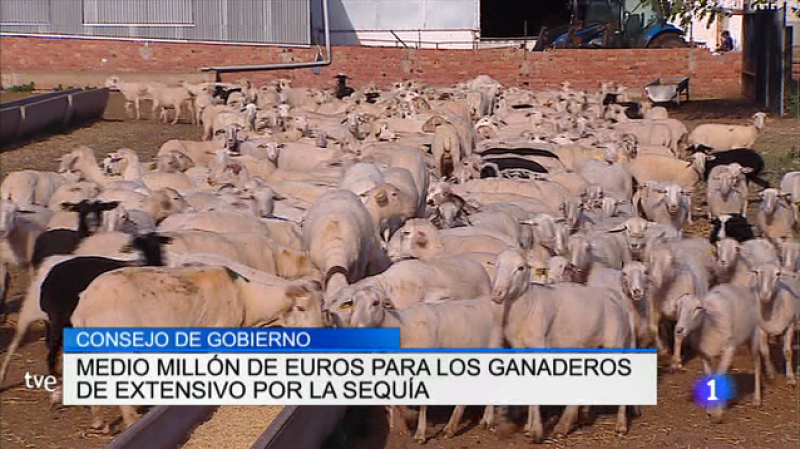 Telerioja en 2' - 04/08/17