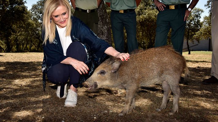 Informativo de Madrid - Informativo de Madrid 2 - 04/08/17