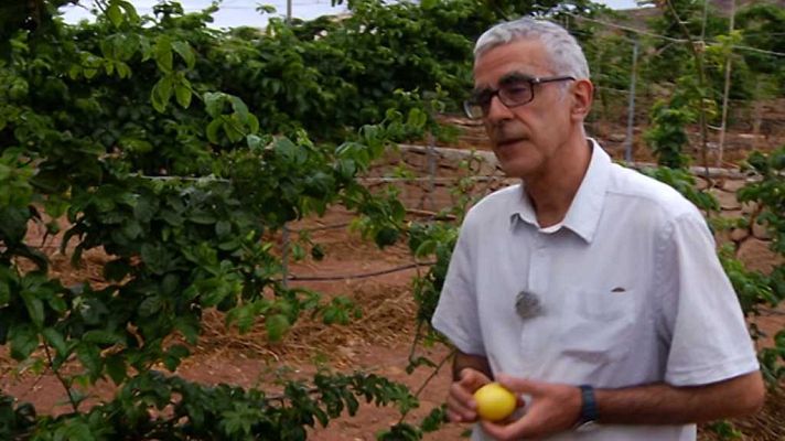 Aquí la Tierra - Aquí la Tierra - 04/08/17