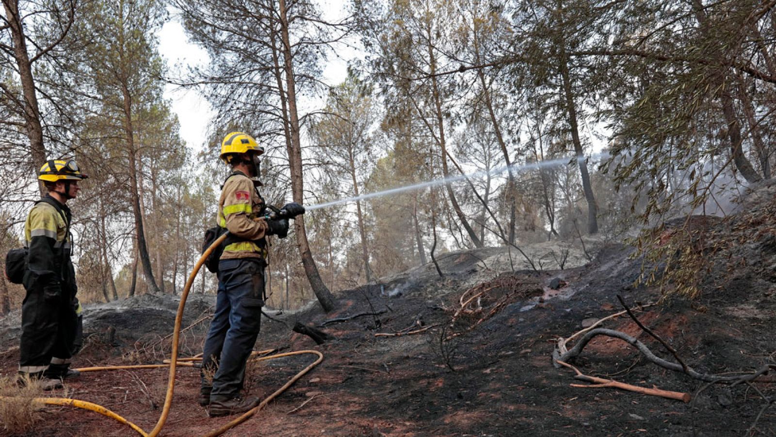 Los bomberos siguen trabajando en el incendio de Artés