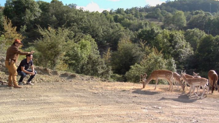 Aquí la Tierra - Cómo viven los gamos