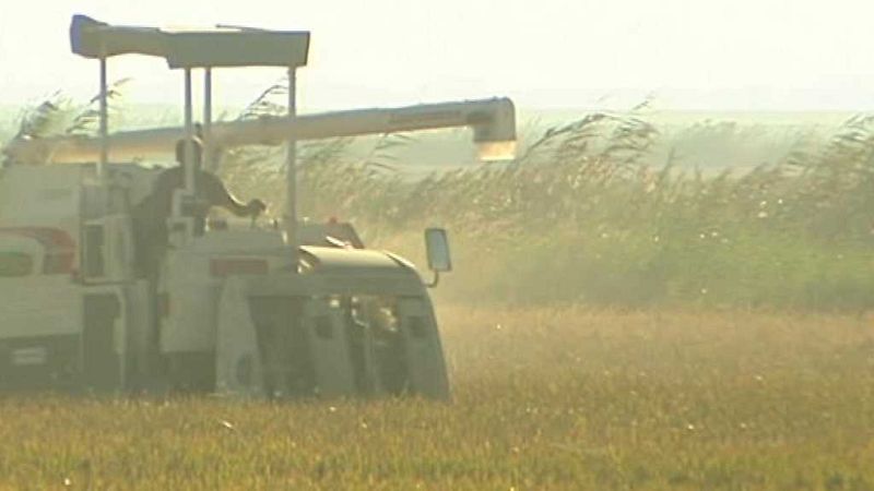 L'Informatiu - Comunitat Valenciana - 07/08/17 - ver ahora