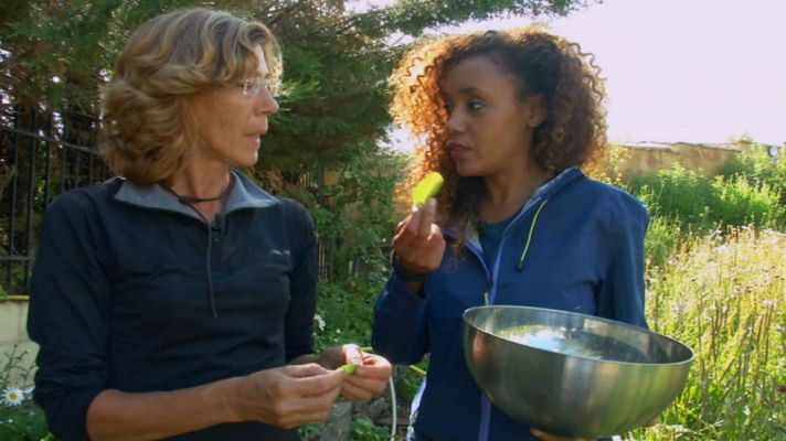 Aquí la Tierra - La botica en casa