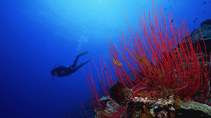 Grandes documentales - La ciudad submarina