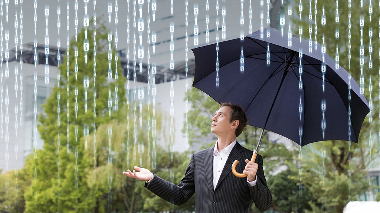 Documenta2 - Diluvio de datos - ver ahora