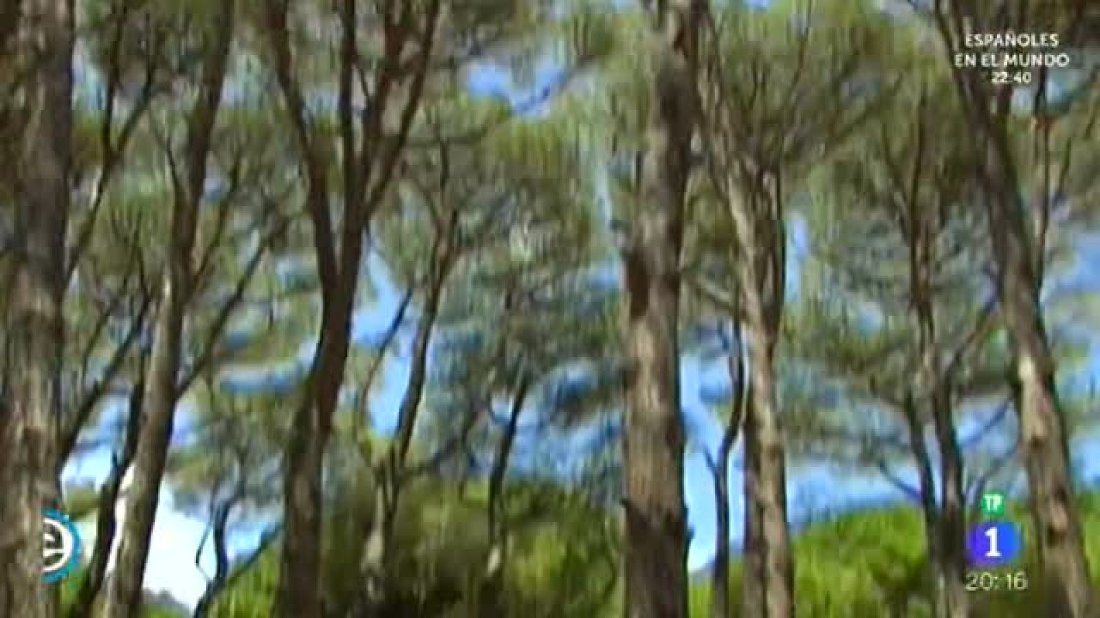 España Directo - Sant Antoni de Calonge, el camping más veterano