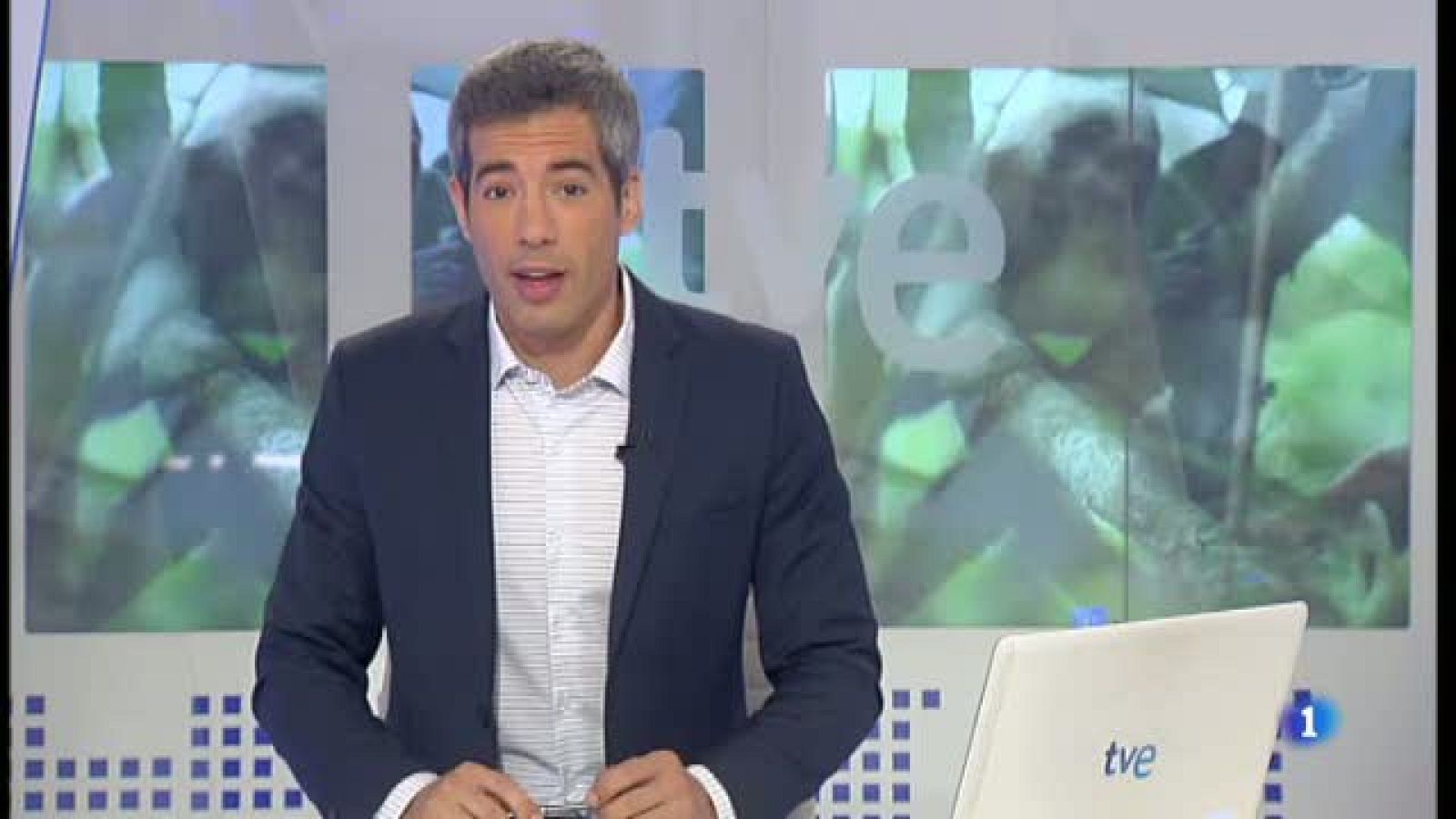 Prohibir el comerç de primats a Espanya, l'objectiu de la Fundació Darwin pel proper curs polític