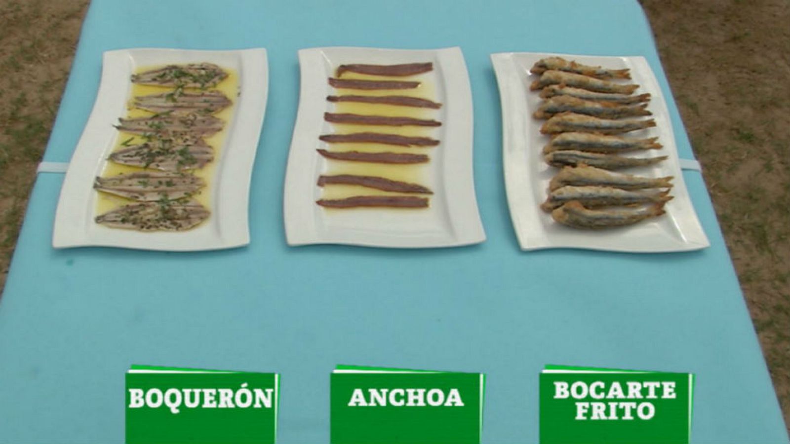 ¿Bocarte, anchoa o boquerón?