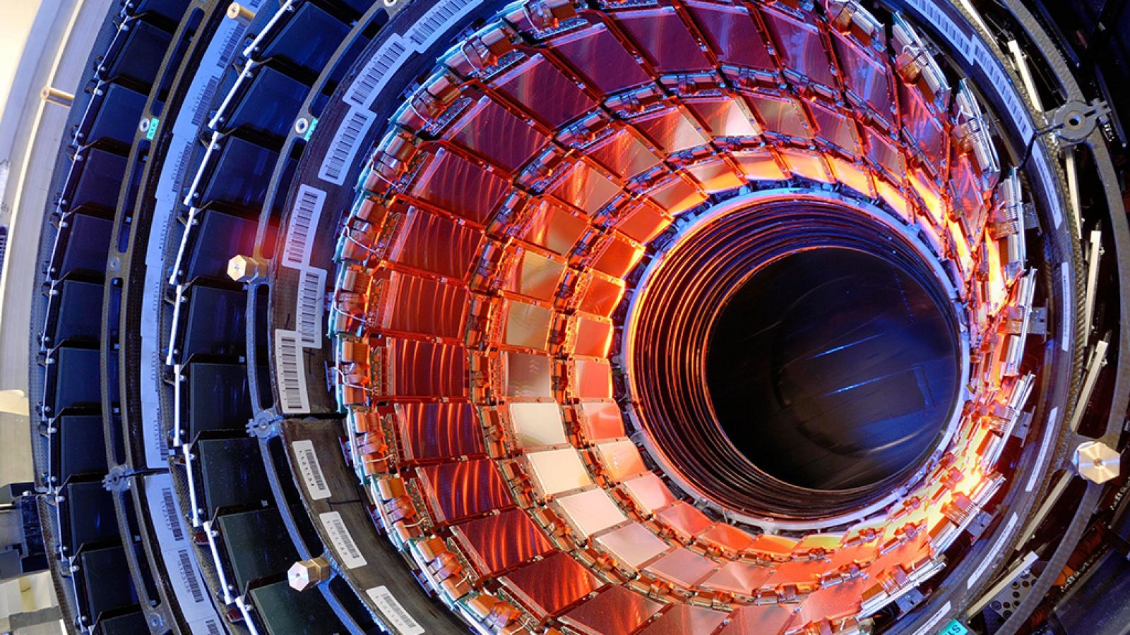 Documenta2 - La fórmula definitiva: ¿De qué está hecho el universo? - ver ahora