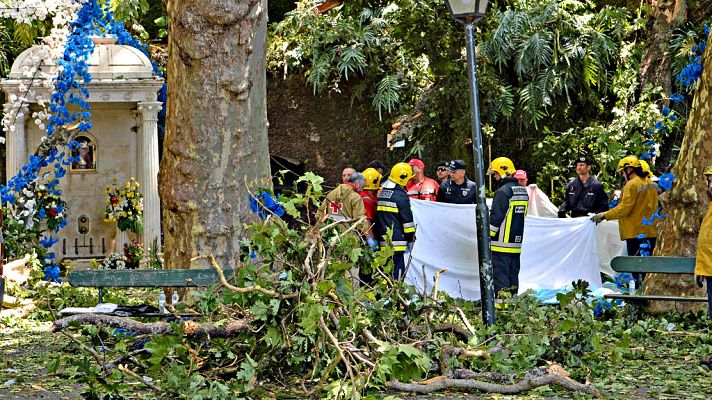 Telediario 1 - Al menos 13 muertos en Madeira al caer un árbol en plena romería