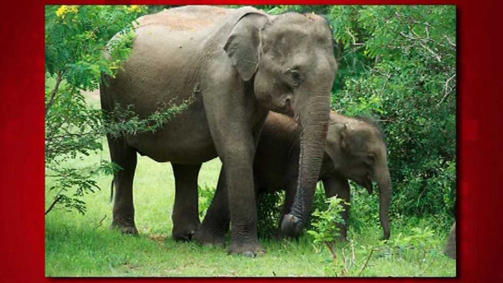 Saber y ganar - 16/08/17 - ver ahora