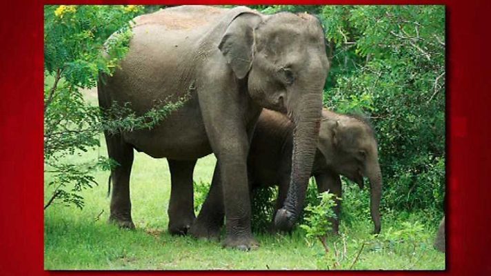 Saber y ganar - Saber y ganar - 16/08/17