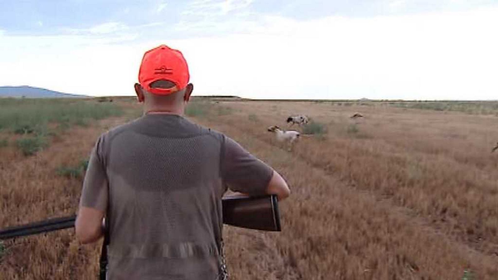 España en 24 horas - 16/08/17 - ver ahora