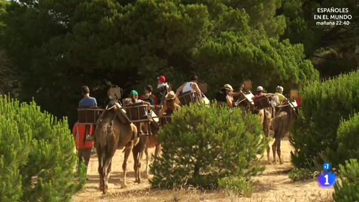 Comando Actualidad - Vacaciones sin descanso - Las mayores dunas de Europa