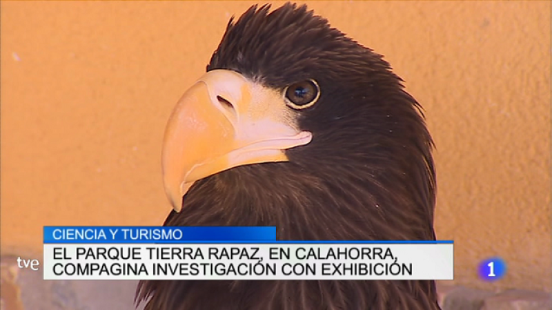 Telerioja en 2' - 17/08/17