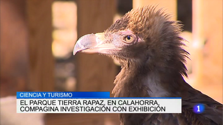 Informativo Telerioja - Informativo Telerioja 2 - 17/08/17