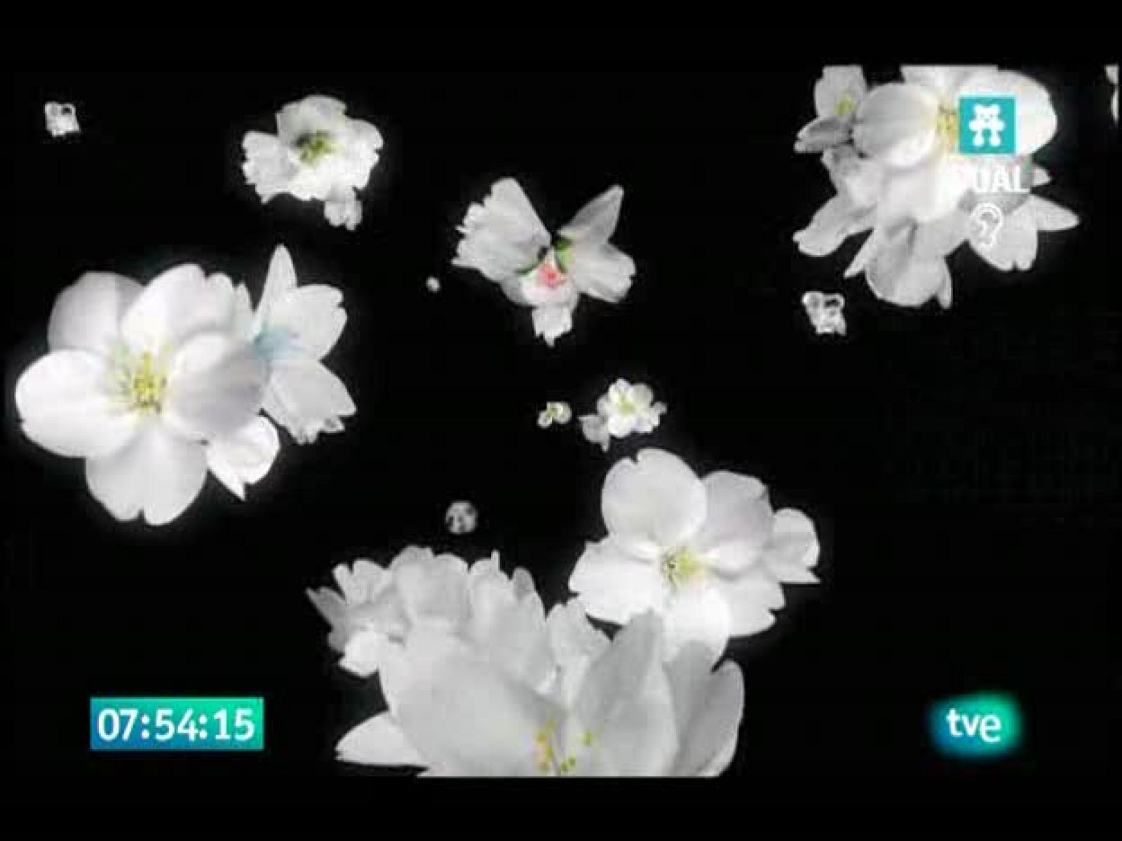 El jardín de los sueños - El Jardín de los Sueños | Ver