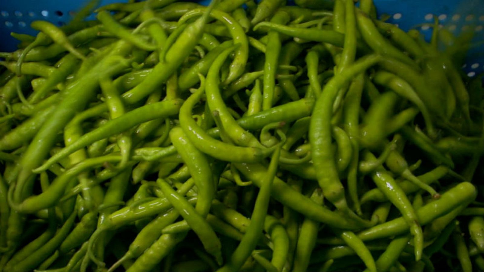 El secreto de la piparra de Ibarra