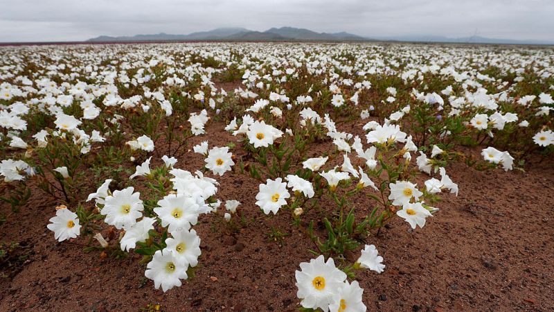La entrada de aire fresco trae bajada de temperaturas y tormentas en el norte