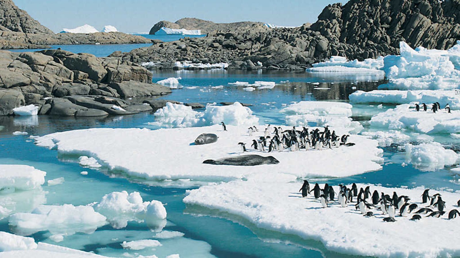 Otros documentales - Trotamundos: El Atlántico sur - ver ahora