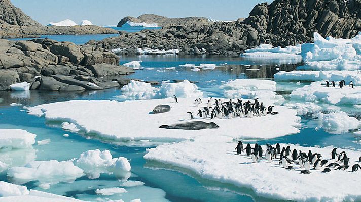 Otros documentales - Trotamundos: El Atlántico sur