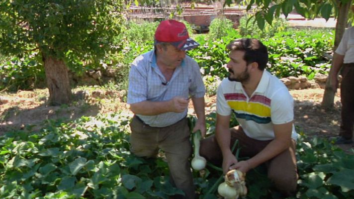 Aquí la Tierra - Trucos para huertos castigados