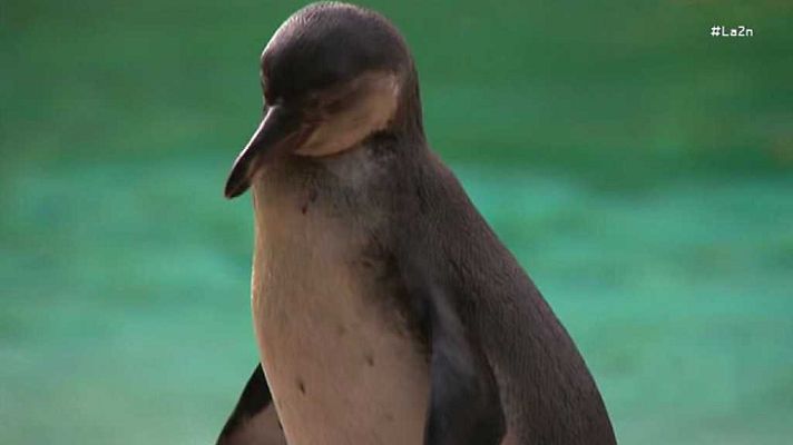 La 2 Noticias - La 2 Noticias - 24/08/17