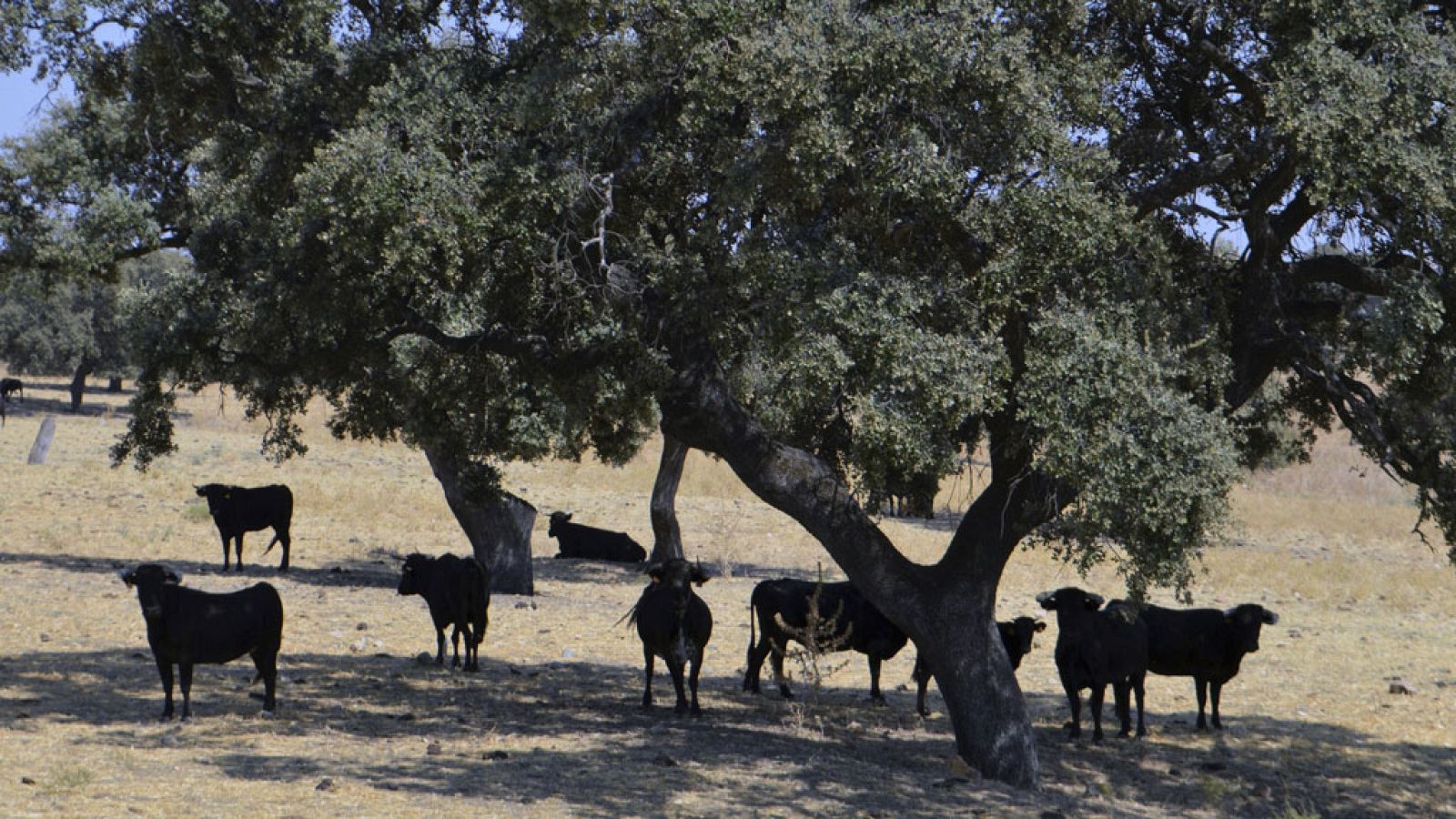 El Tiempo en la Comunidad de Madrid - 25/08/17