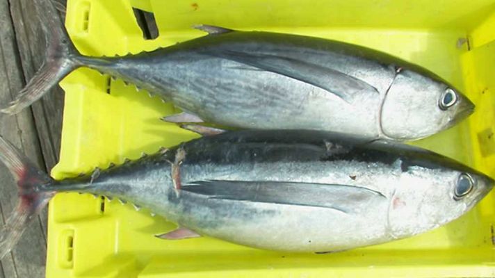 Aquí la Tierra - Aquí la Tierra - 25/08/17