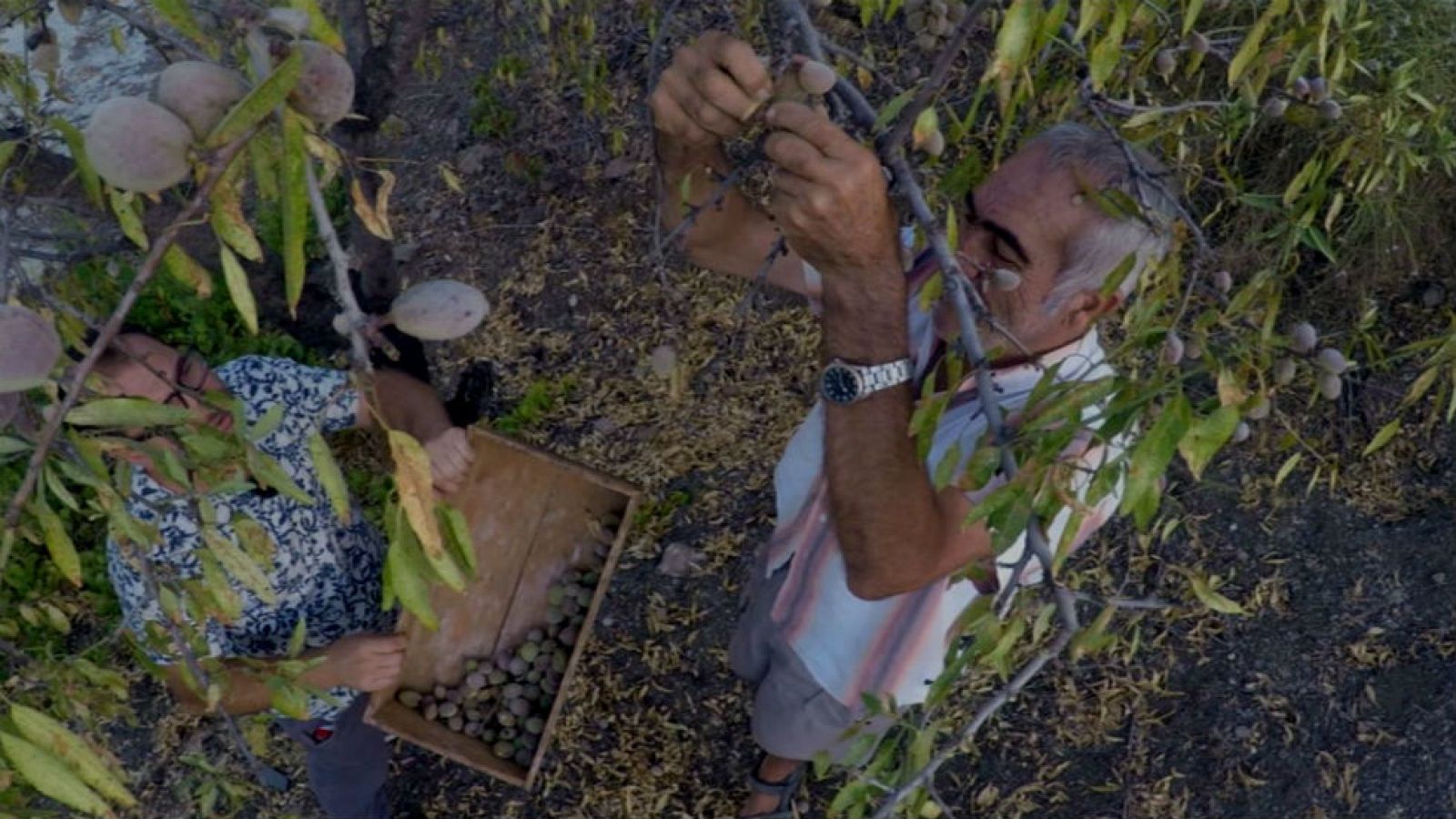 Recetas de siempre: ajoblanco