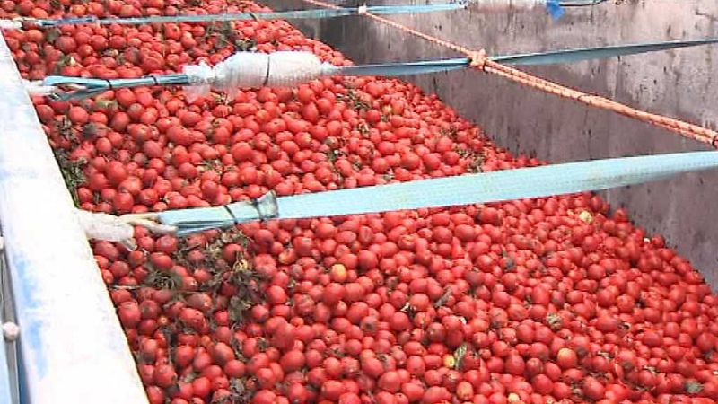 La Comunidad Valenciana en 2' - 29/08/17 - ver ahora