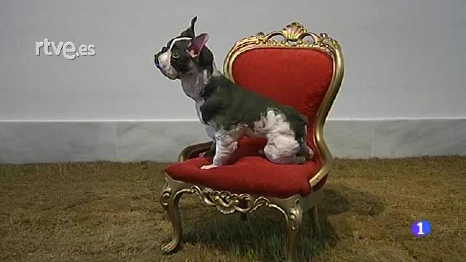 "Tetralogía", de Víctor Pulido | Ver