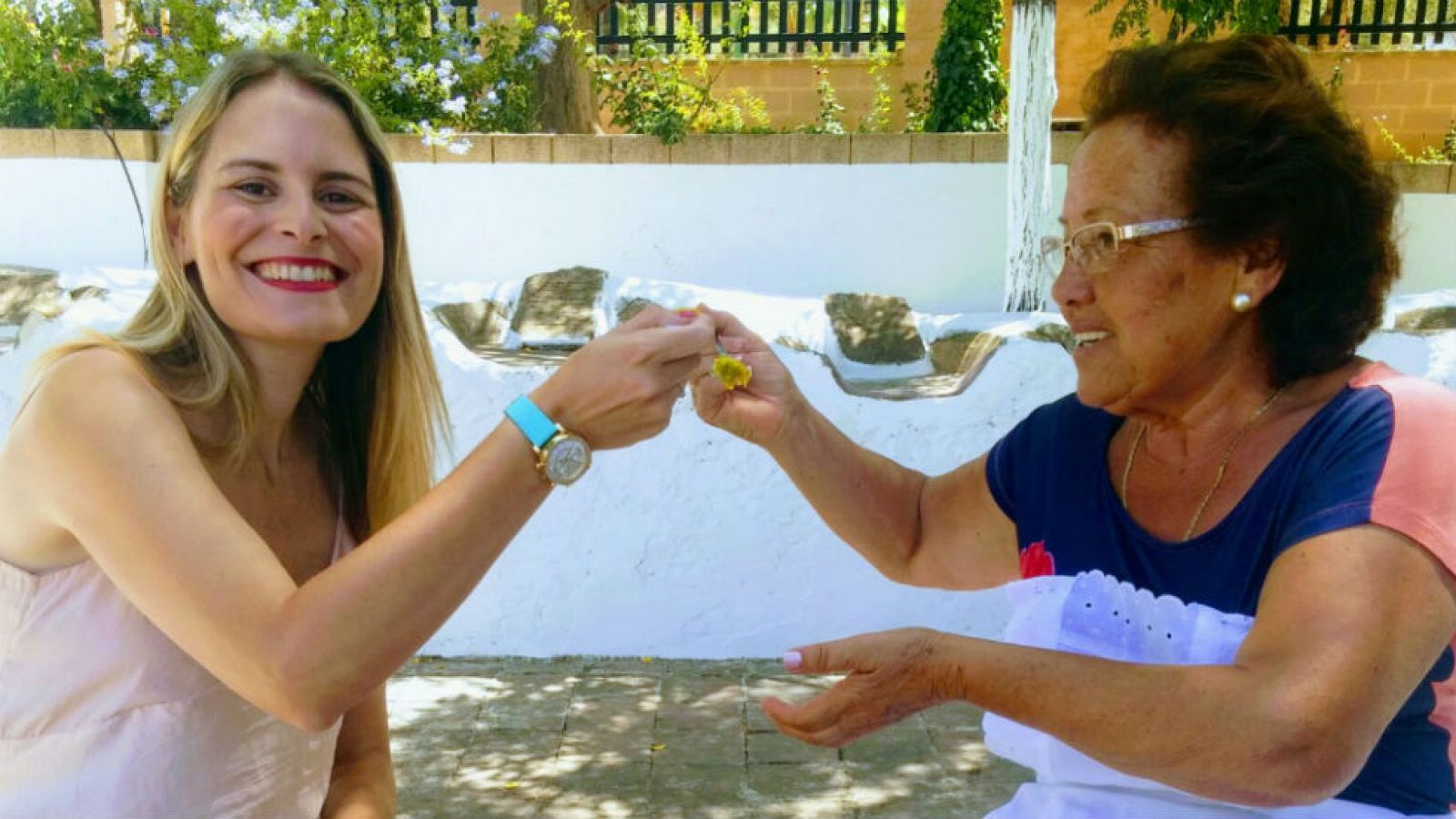 Chanfaina malagueña