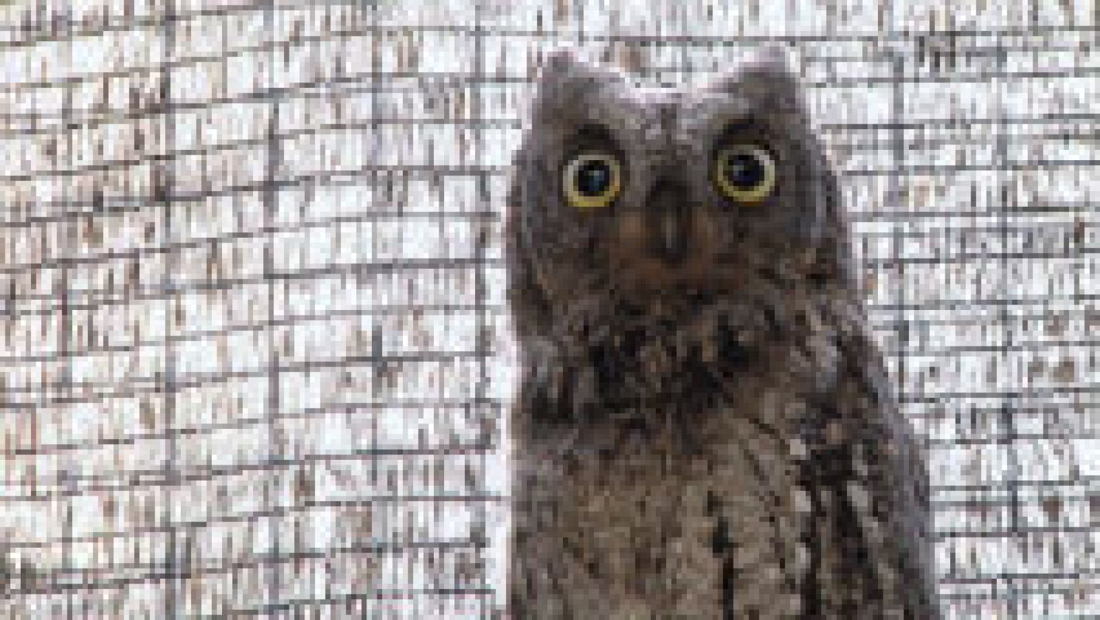 Al servicio de la biodiversidad