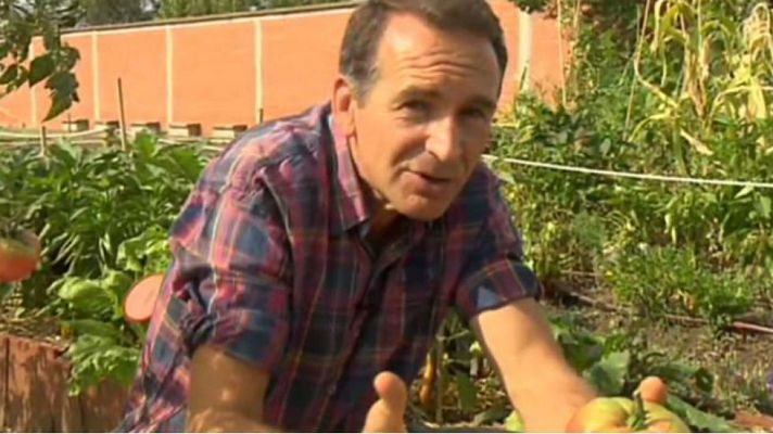 Aquí la Tierra - Tomates bonitos ¡y feos!