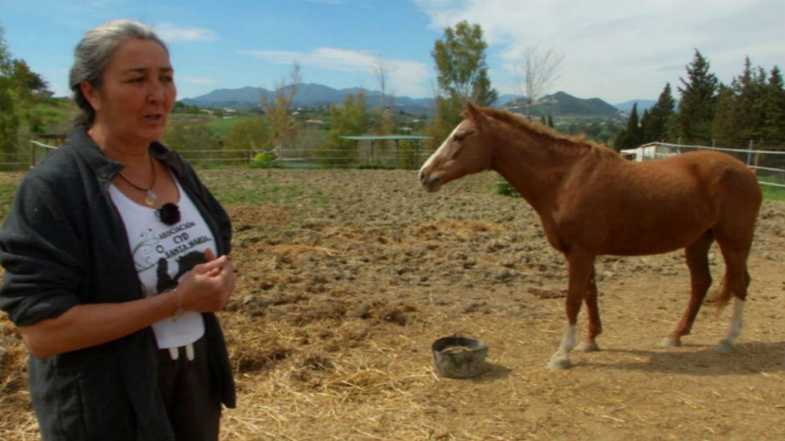 Concordia, la mujer que susurra a los caballos