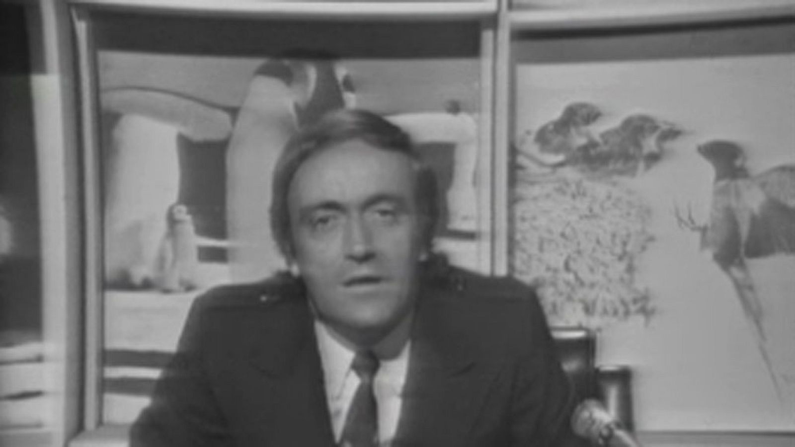 El planeta azul - Los chimpancés (III)