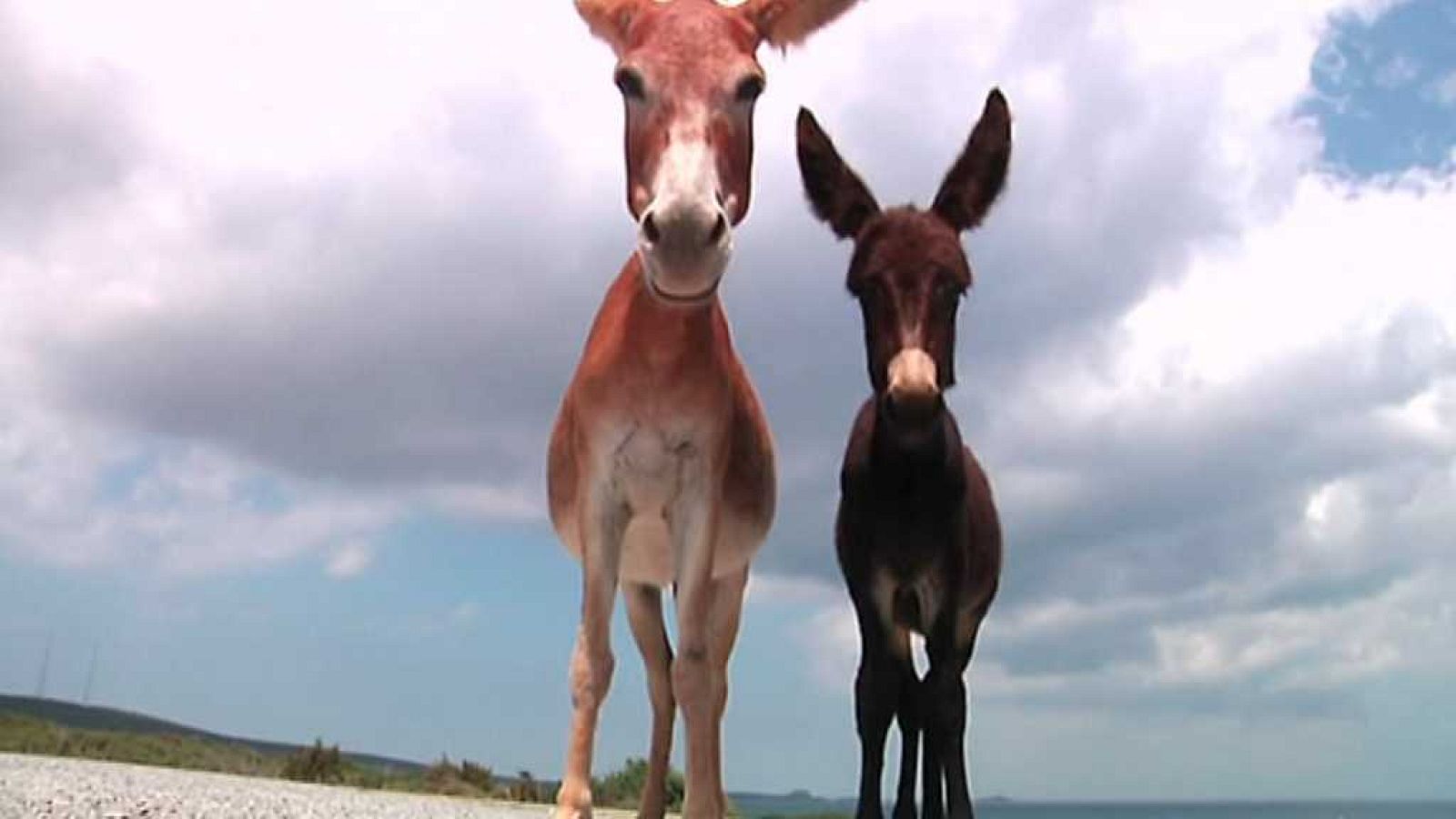 La 2 Noticias - 31/08/17 - ver ahora