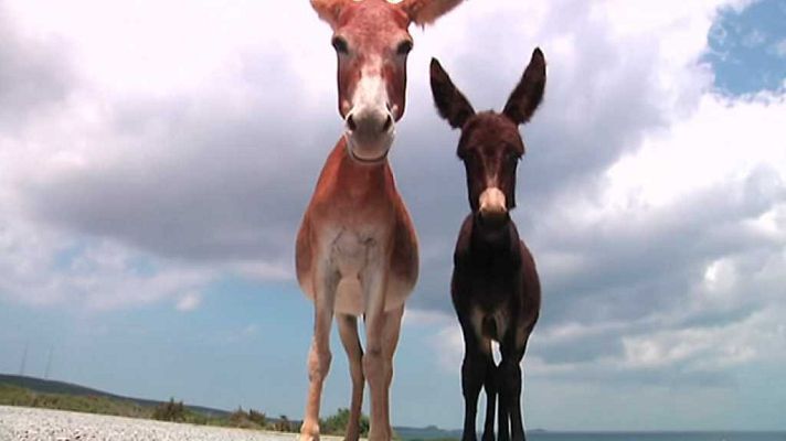 La 2 Noticias - La 2 Noticias - 31/08/17