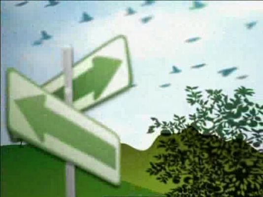 Actívate. El reto del bienestar - Actívate - El reto del bienestar - 20/02/09