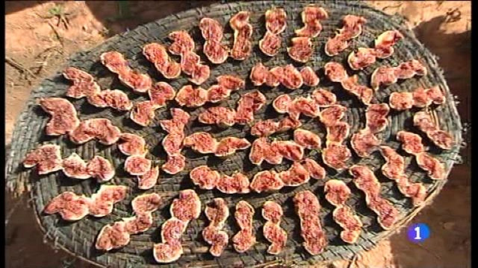 Moment d'assecar figues a Formentera