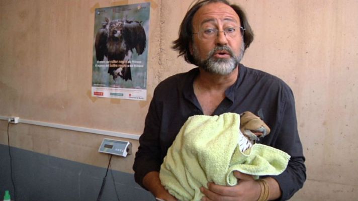 Aquí la Tierra - Luismi y el águila perdicera