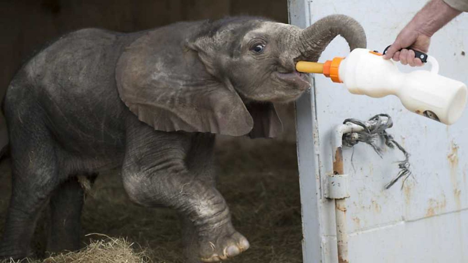 Aquí la Tierra - 03/09/17 - ver ahora