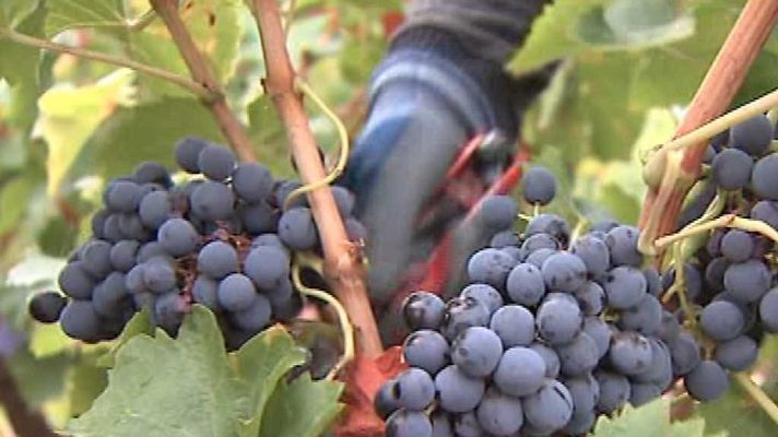 España en 24h - España en 24 horas - 04/09/17