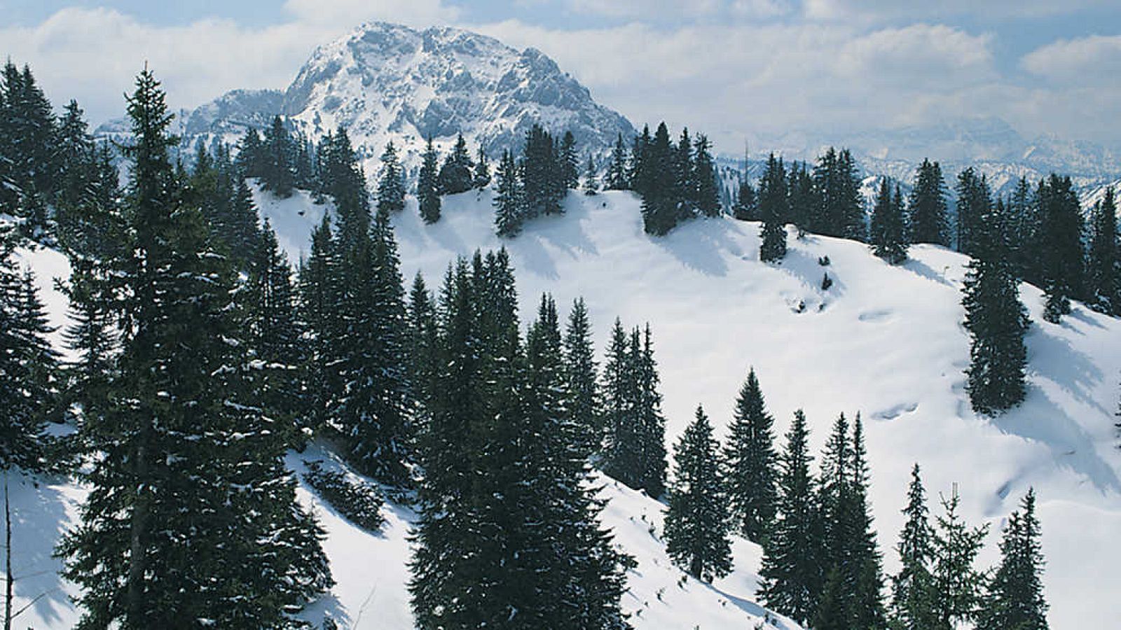 Grandes documentales - La selva Bávara: Densa, oscura y embrujada - ver ahora