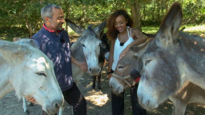 Aquí la Tierra - Burros con GPS