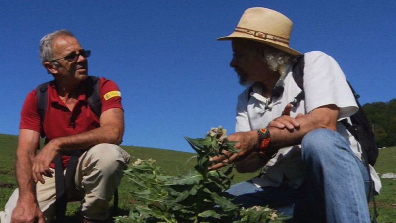 Aquí la tierra - Un bálsamo para conciliar el sueño